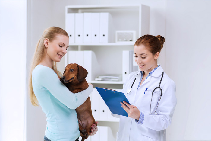 ЭЦП для оформления ветеринарных сертификатов (ГИС Меркурий) в Красноуфимске